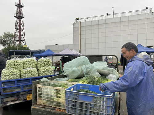 北京新發地市場 助推商戶打造農產品品牌，提升初級農產品價值