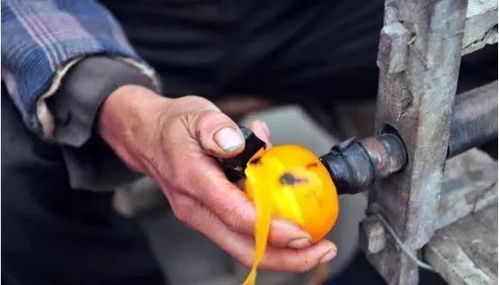 初級(jí)農(nóng)產(chǎn)品 農(nóng)業(yè)行業(yè)利潤(rùn)的隱形“收割機(jī)”